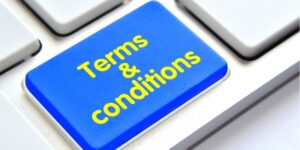 Eg333 Terms And Conditions